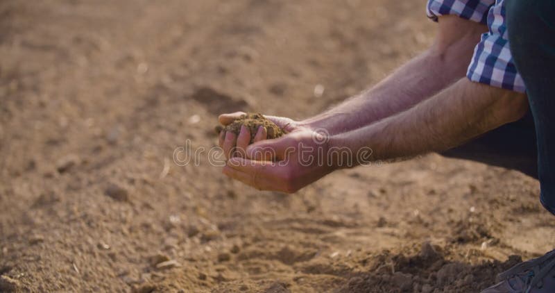 Landbouwershanden die en achter organische grond houden gieten