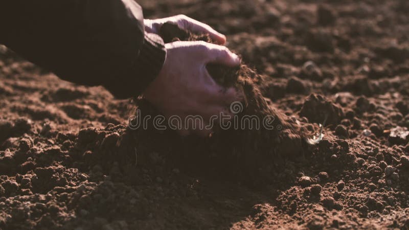 Landbouwershanden die en achter organische grond houden gieten Grond, Landbouw, Zonlicht