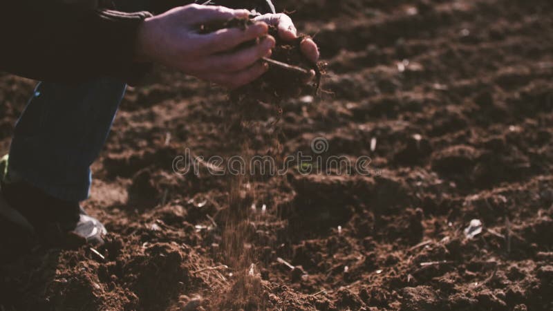 Landbouwershanden die en achter organische grond houden gieten Grond, Landbouw, Zonlicht