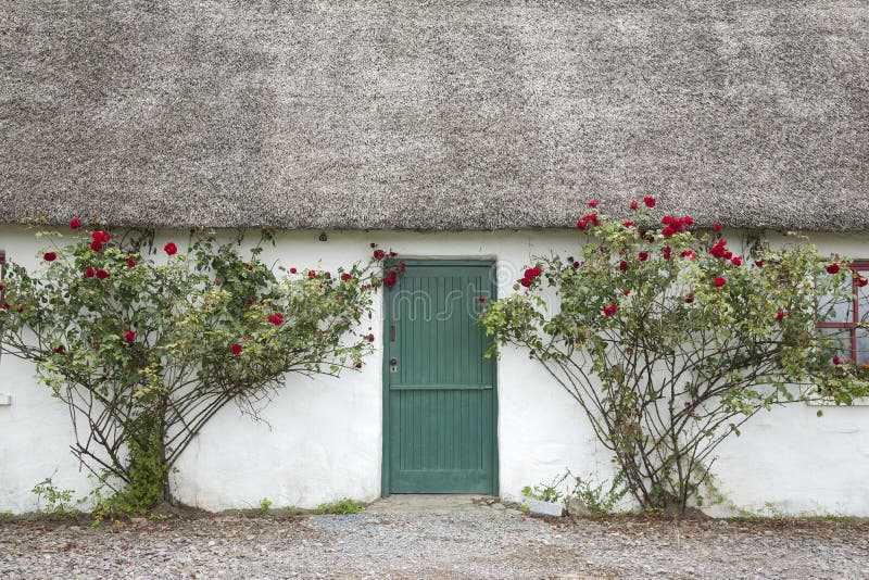 Rural House Entrance with Roses. Rural House Entrance with Roses