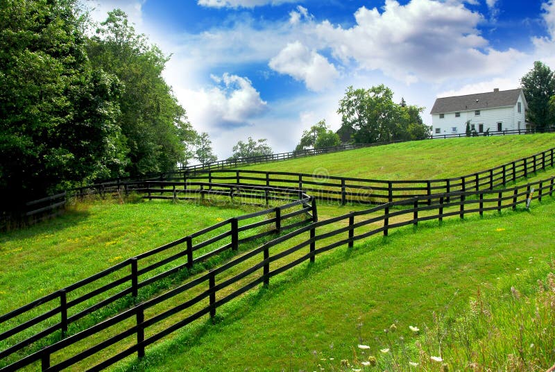 Rural landscape with lush green fields and farm house. Rural landscape with lush green fields and farm house
