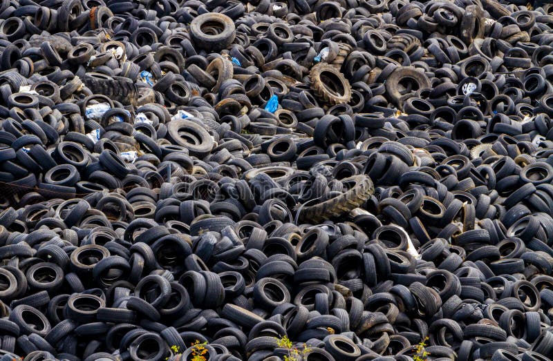 Landfill with Old Tires and Tyres for Recycling. Reuse of the Waste