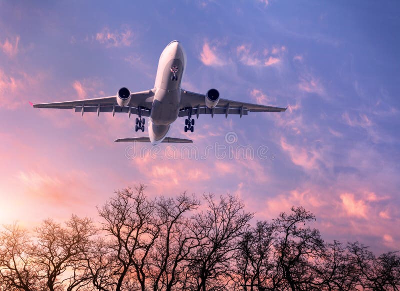 Approdo un aereo.