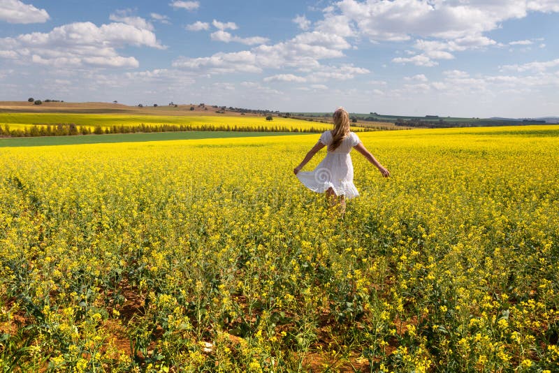 Landmeisje dat in gouden canola viert stock fotografie Landmeisje dat in gouden canola viert stock fotografie