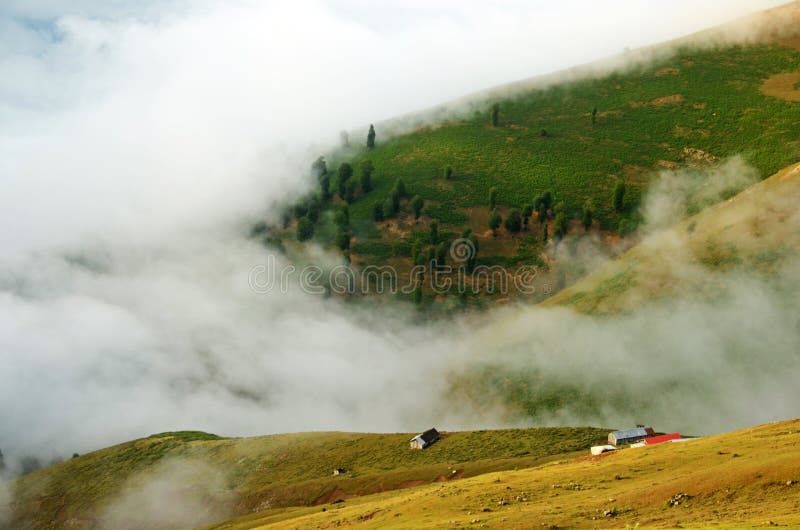 On top of Hyrcanian forest, Northern Alborz Mountains, Iran