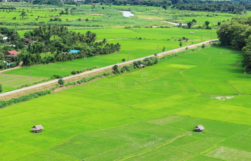 Landscape Agriculture Village Stock Image Image of field, tree 44245281