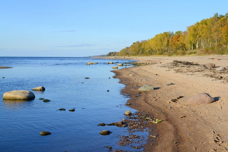 Landscape of Baltic seaside