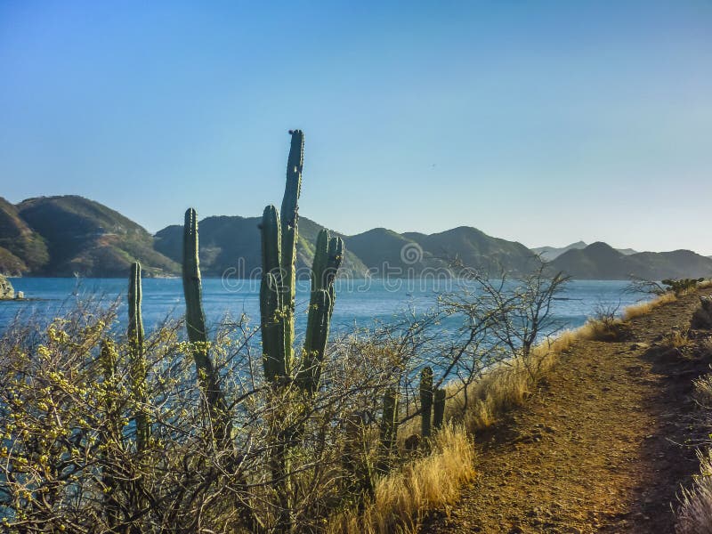 Landscape of the Bay of Taganga Colombia