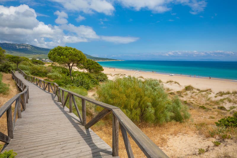 Landscape of beach in Cadiz with footbridge in forest