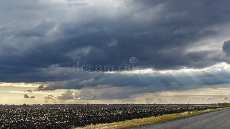 Landscape with big wheat field and road, weather change. Sun rays