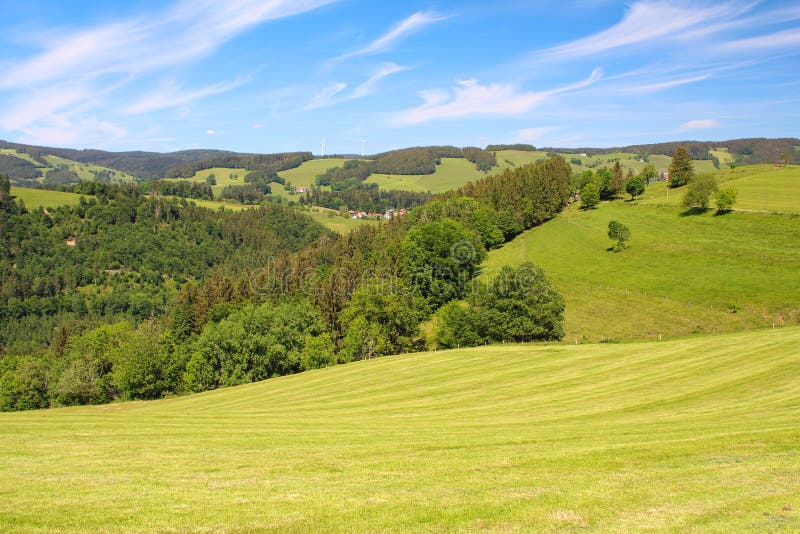Landscape in the Black Forest in Germany Stock Image Image of black
