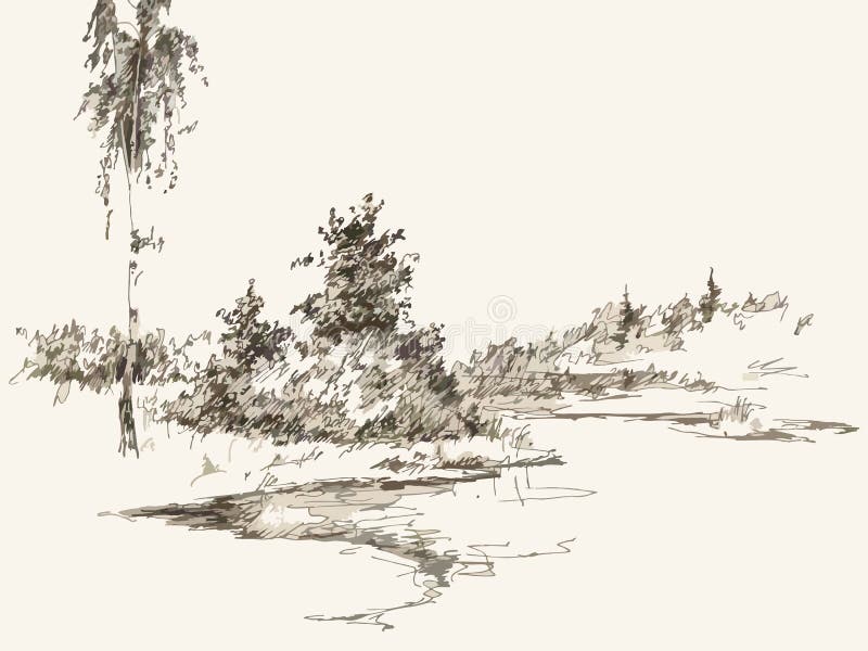 Landscape stock vector. Illustration of quiet, pond, birch - 43430854