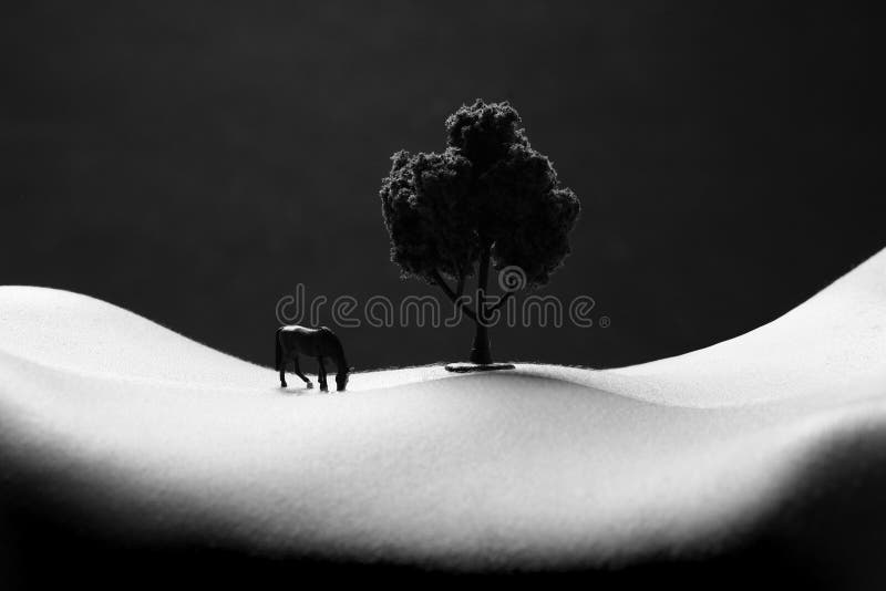 Landscape Bodyscape Image of a Woman