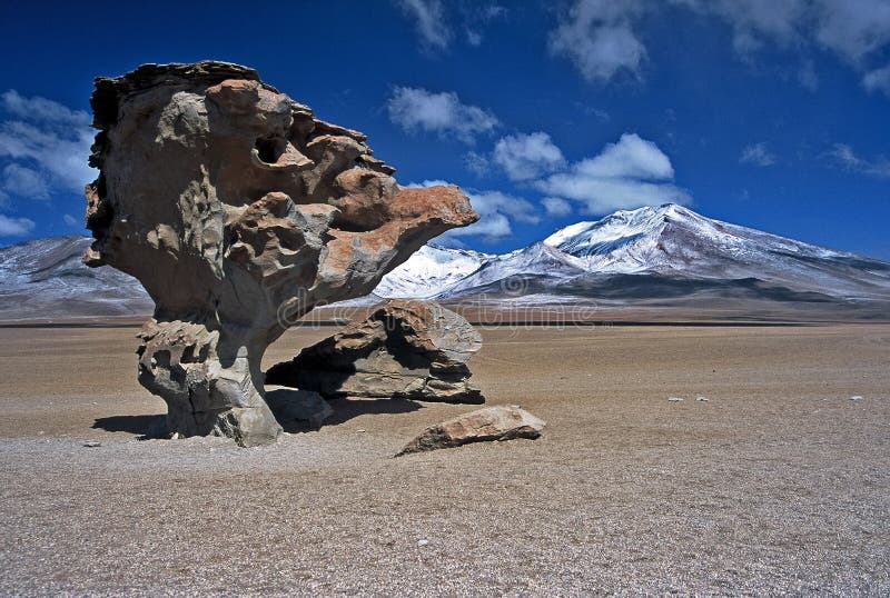 Landscape in Bolivia,Bolivia