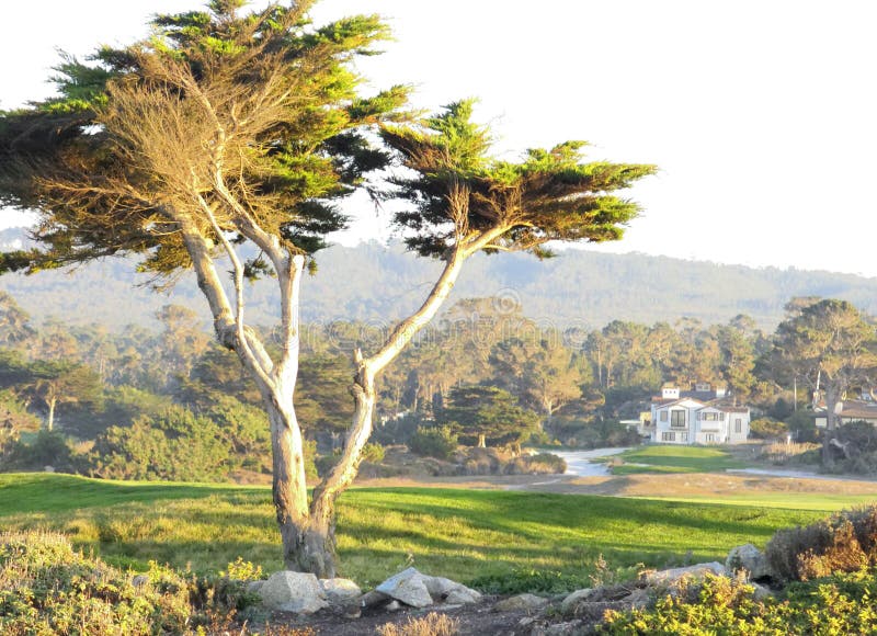 Landscape of Carmel in California