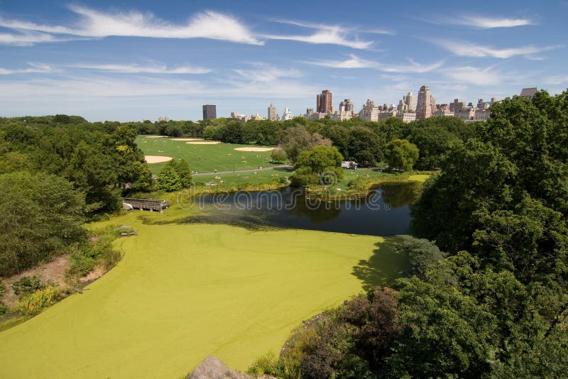 51,290 Central Park Beautiful Landscape Stock Photos - Free & Royalty ...