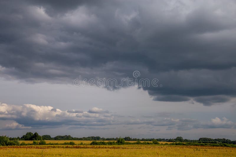 Landscape with cereal field, trees and cloudy blue sky royalty free stock photo Landscape with cereal field, trees and cloudy blue sky royalty free stock photo