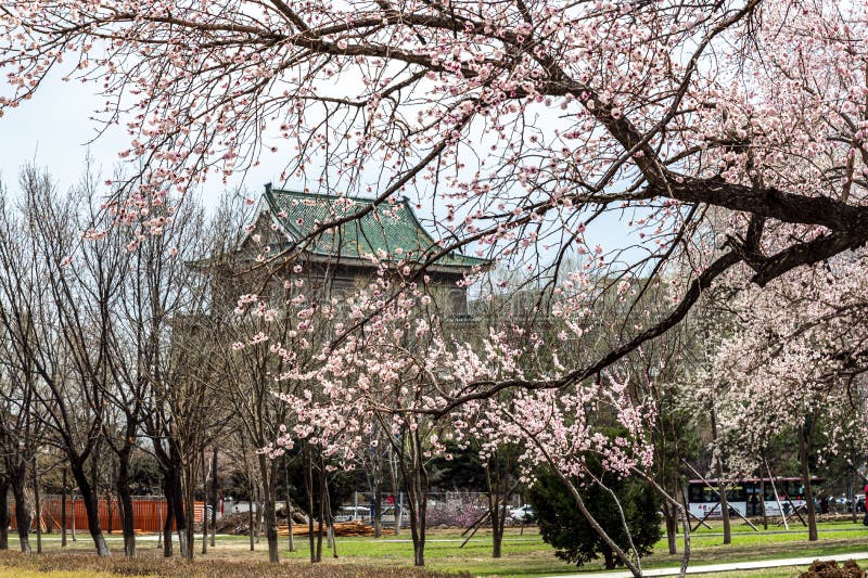 Landscape of China Changchun Cultural Square in Spring Stock Photo ...