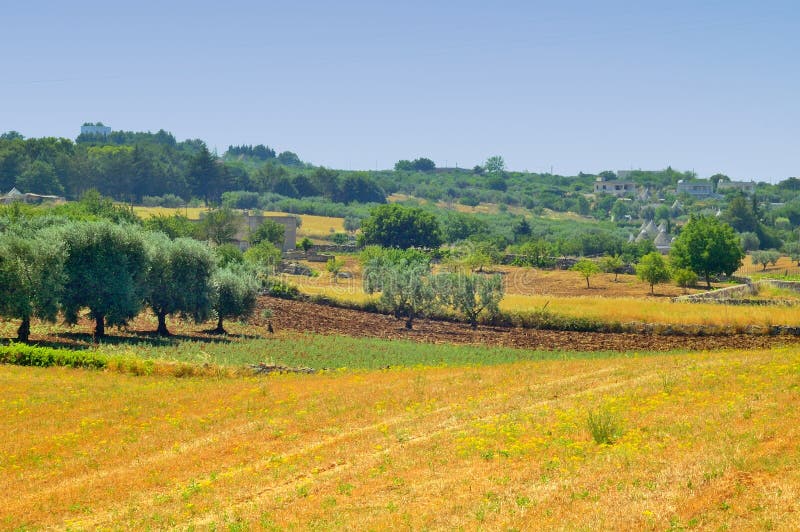 Landscape of the countryside of Martina Franca (TA