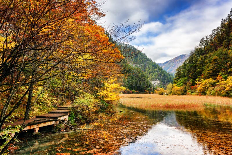 Landscape With Crystal Clear Water Of Lake Among Fall Woods Stock Image