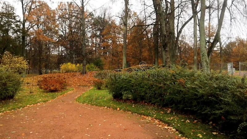 Autumn in the city park