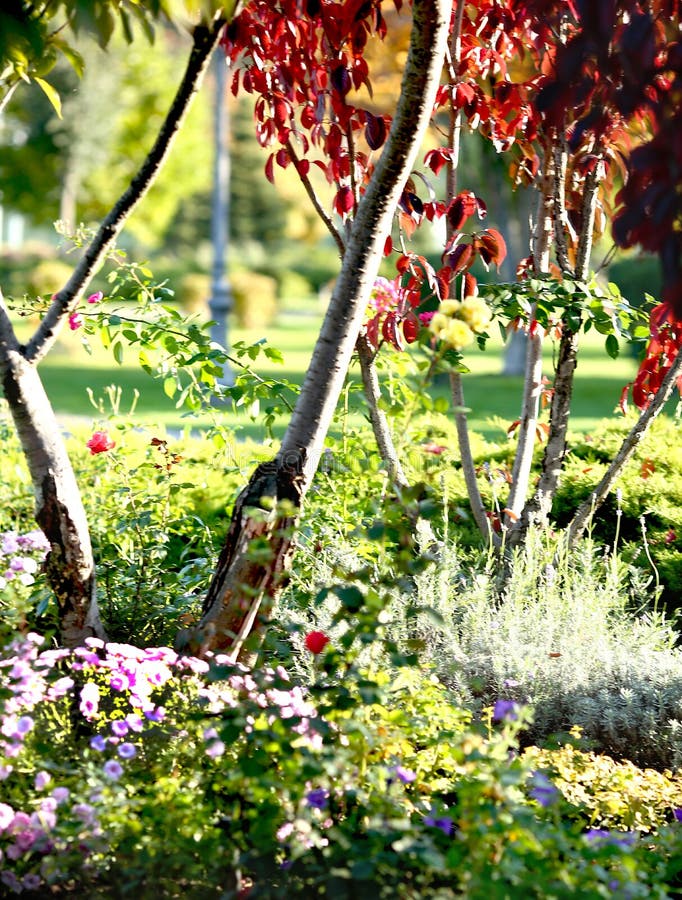 Landscape design in an autumn park with flower beds and trees stock photo Landscape design in an autumn park with flower beds and trees stock photo