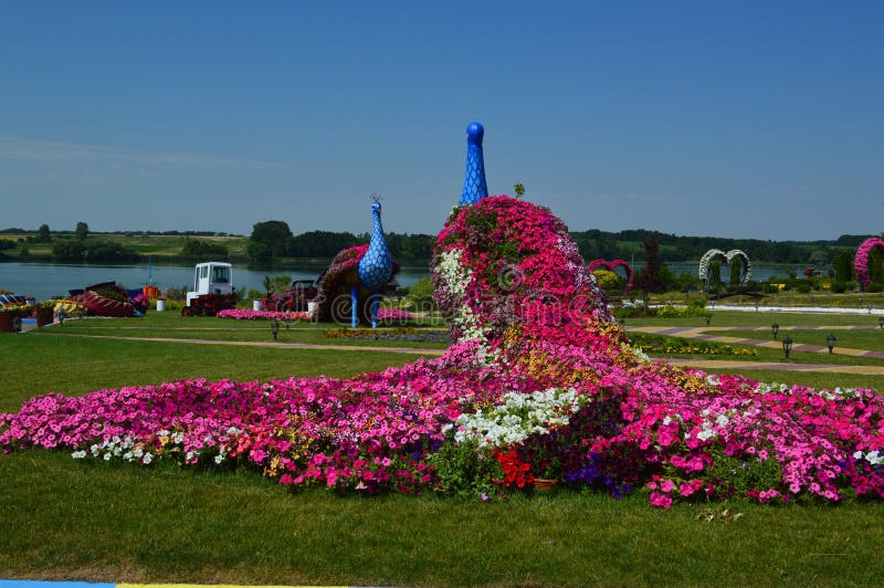 Landscape Design of Flower Arrangements Stock Image Image of