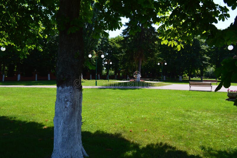 Landscape Design of Flower Arrangements Stock Image Image of stone