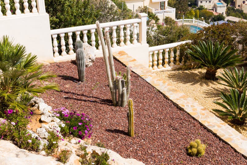 Landscape Design with Palm Trees and Cactuses. Top View of the Modern