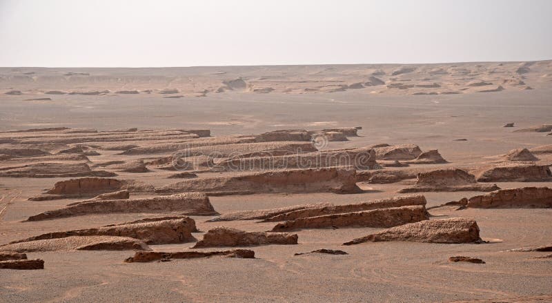 The landscape of dolphin shaped yardangs in Lut desert of Iran