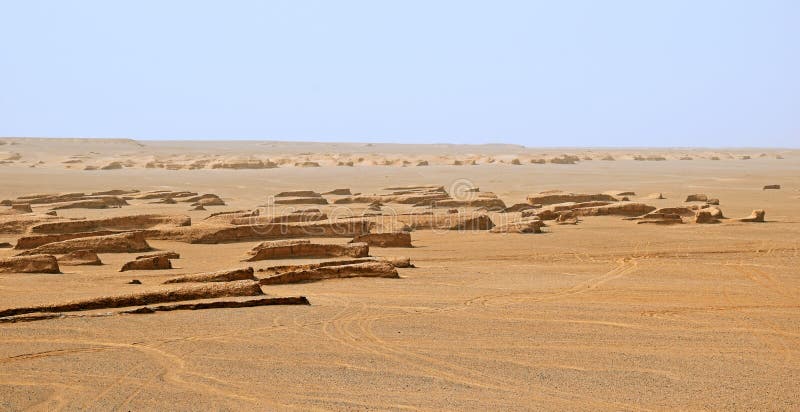 The landscape of dolphin shaped yardangs in Lut desert of Iran