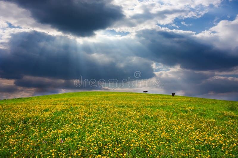 Landscape, dramatic sky