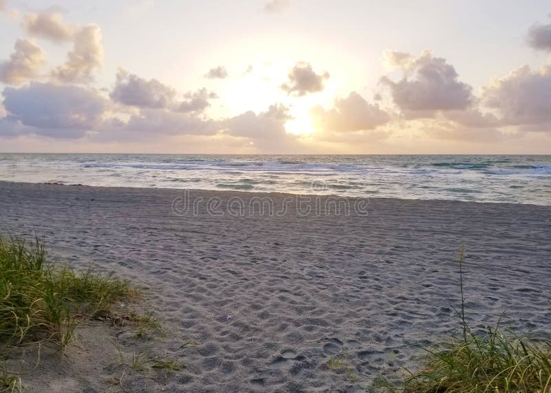 Landscape of dunes, beach and ocean at sunrise royalty free stock photography Landscape of dunes, beach and ocean at sunrise royalty free stock photography