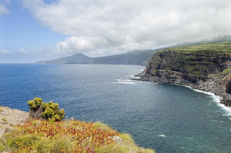 Landscape in Faial, Azores