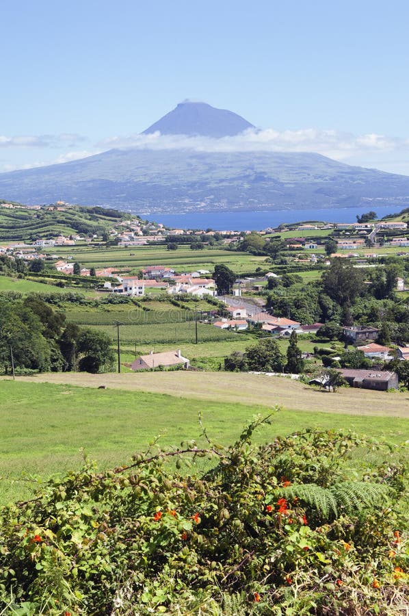 Landscape of Faial, Azores