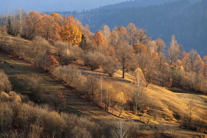 Landscape in fall season