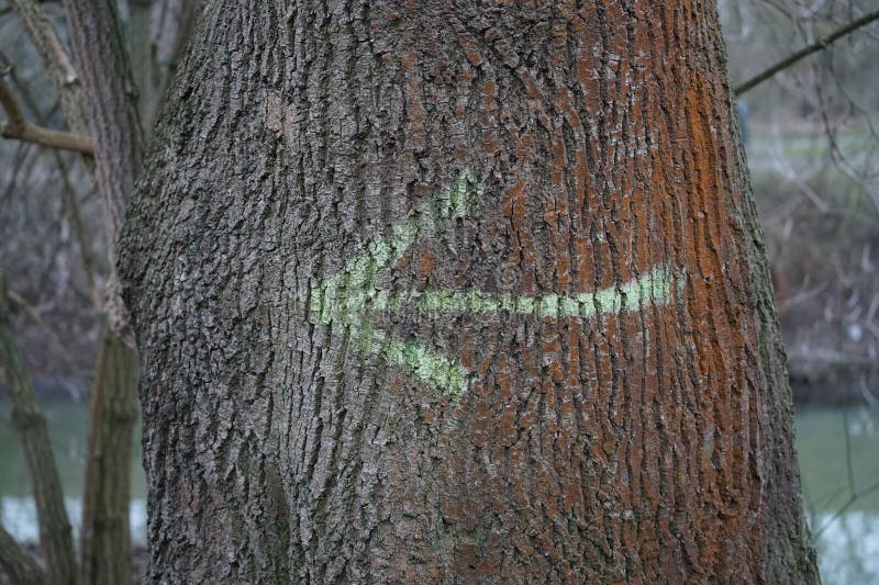 Landscape in Germany. A directional arrow is painted on a tree trunk. Berlin, Germany, Europe. Painted curve stock images, royalty-free photos and pictures