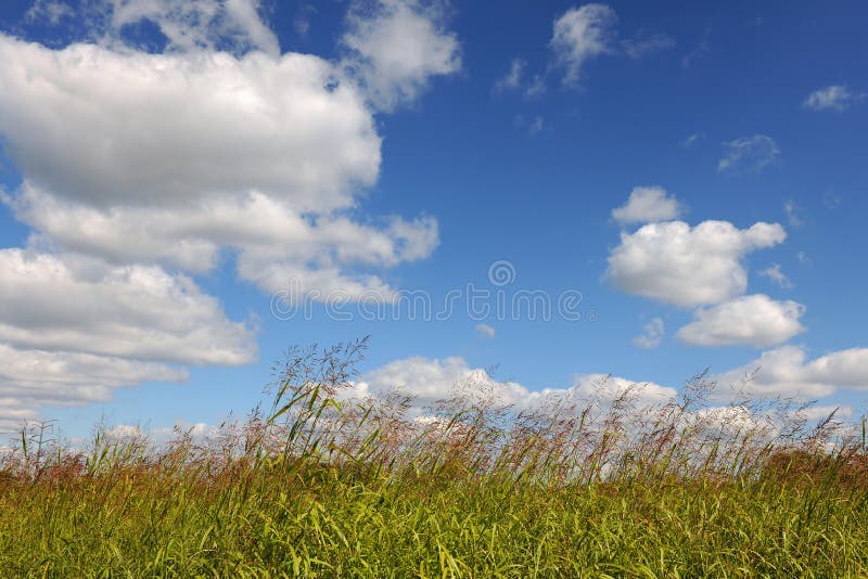 Glassland Sunlight Stock Photos Free & RoyaltyFree Stock Photos from