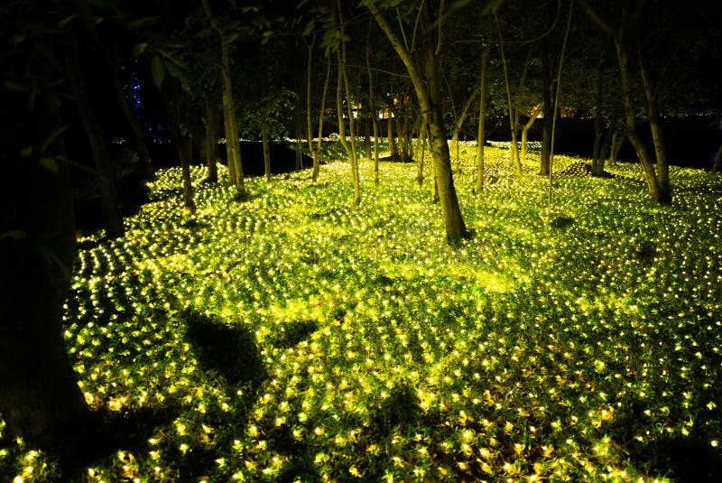 LED flower tree stock photo. Image of lighting, background 35939762