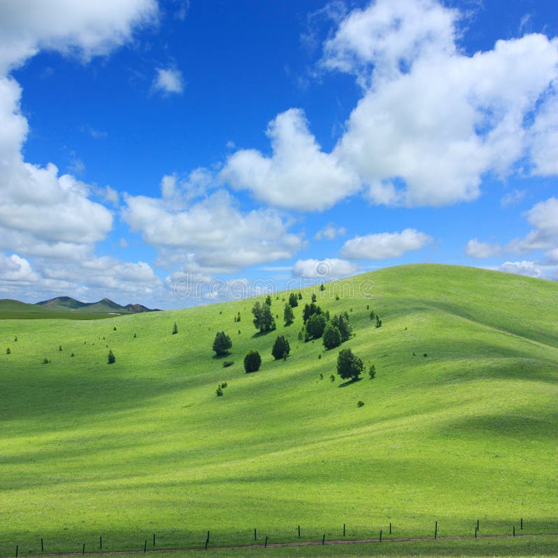 Landscape of grassland