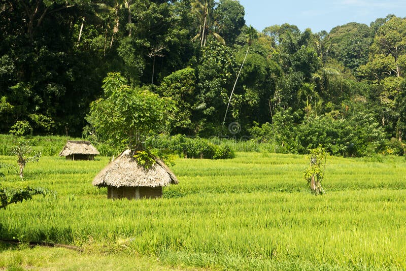 Landscape Of Green Field And Little Village Stock Photo Image of