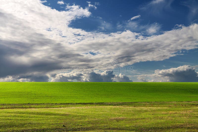 Landscape Of A Green Grass And The Dark Blue Sky Stock Image Image Of