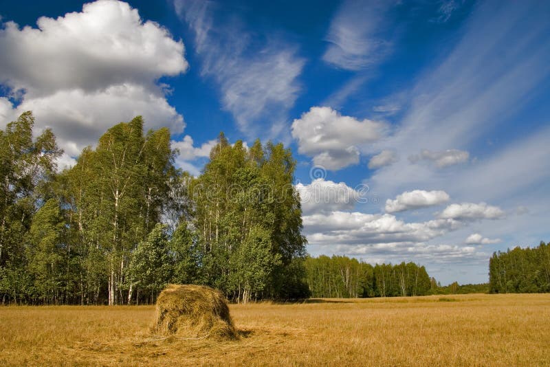 Landscape with hay stack