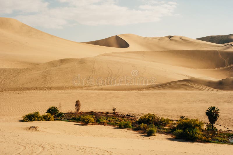 Landscape of Huacachina Desert. in Ica, Peru Stock Image Image of