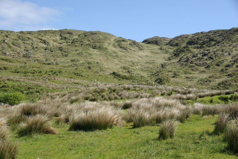 Landscape in Ireland