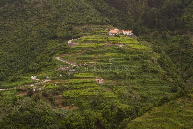 Landscape in the island of Madeira