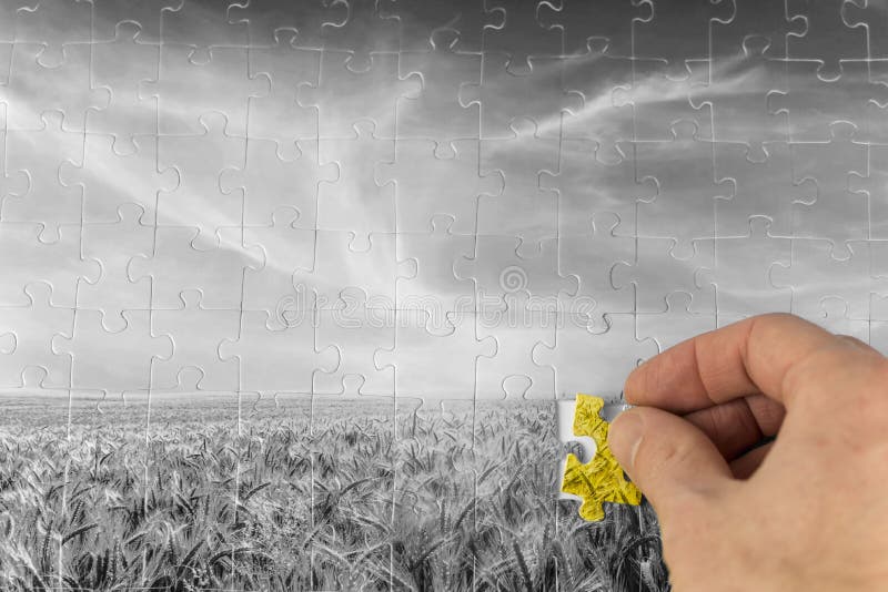 Landscape jigsaw puzzle of a greyscale wheat field