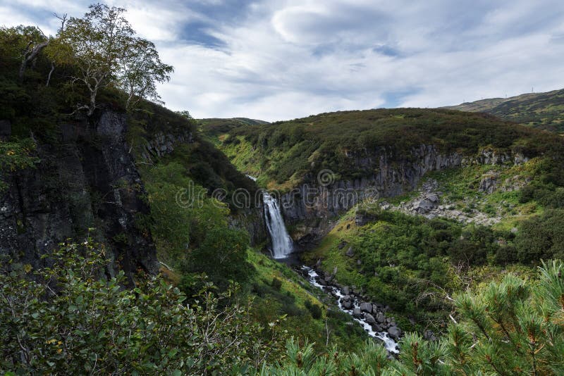 Landscape of Kamchatka Peninsula: cascade of mountain waterfall, high-mountain vegetation - green bushes and trees