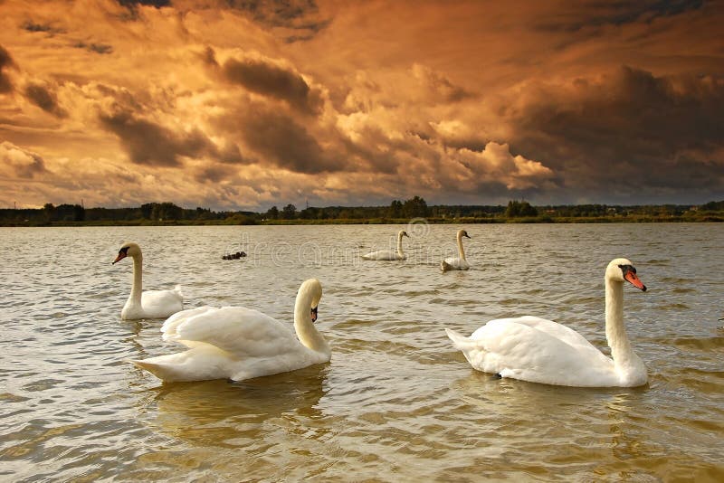 Landscape on the lake