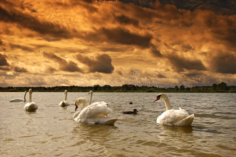 Landscape on the lake